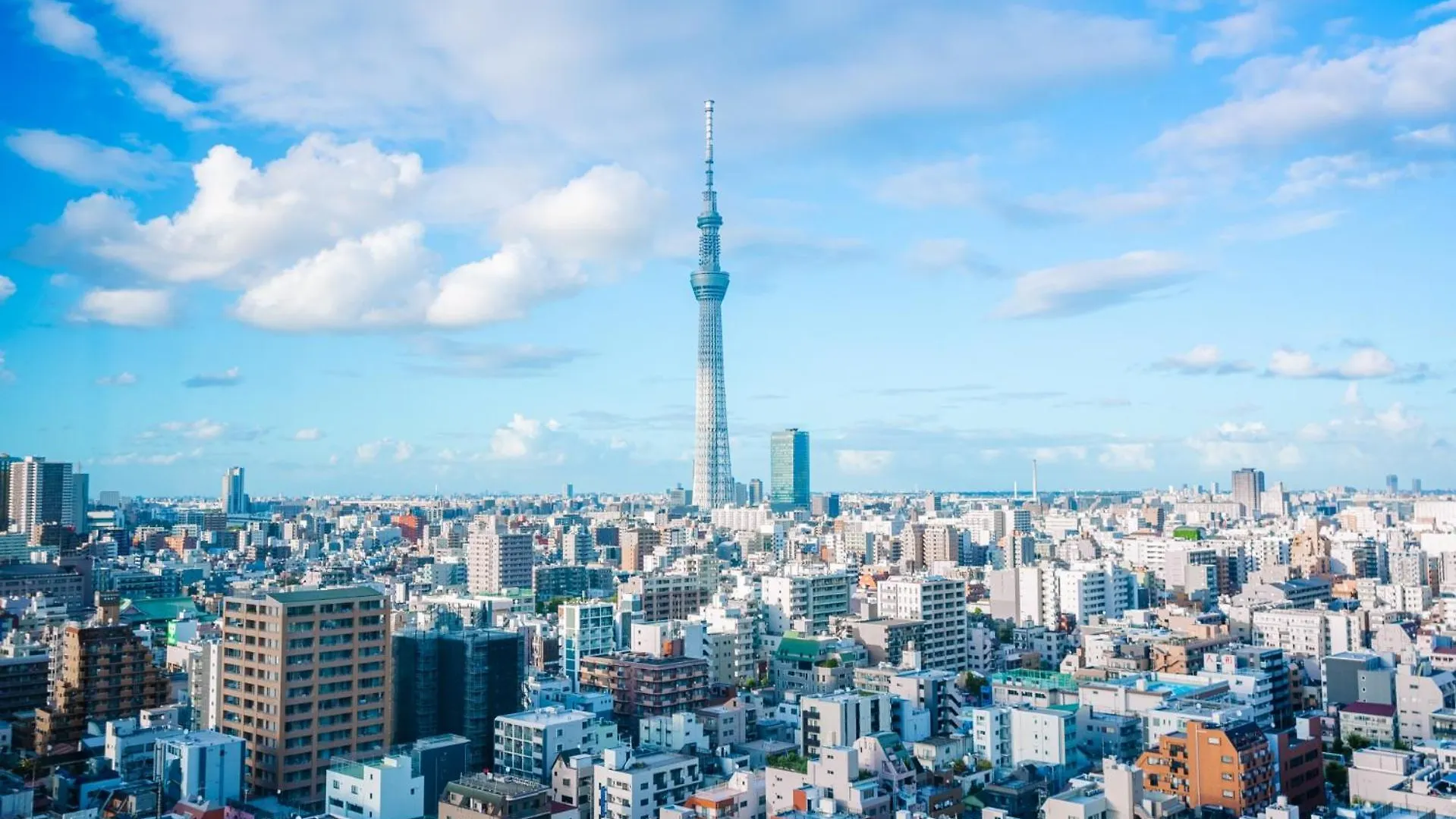 Minn Asakusa Kappabashi 東京都
